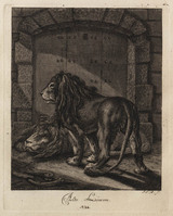 KG 01074
          <br/>
          Entwurf einiger Thiere. Zweyter Theil. (20 bladen)
          <br/>
          <em>Ridinger, Johann Elias (1698-1767)</em>